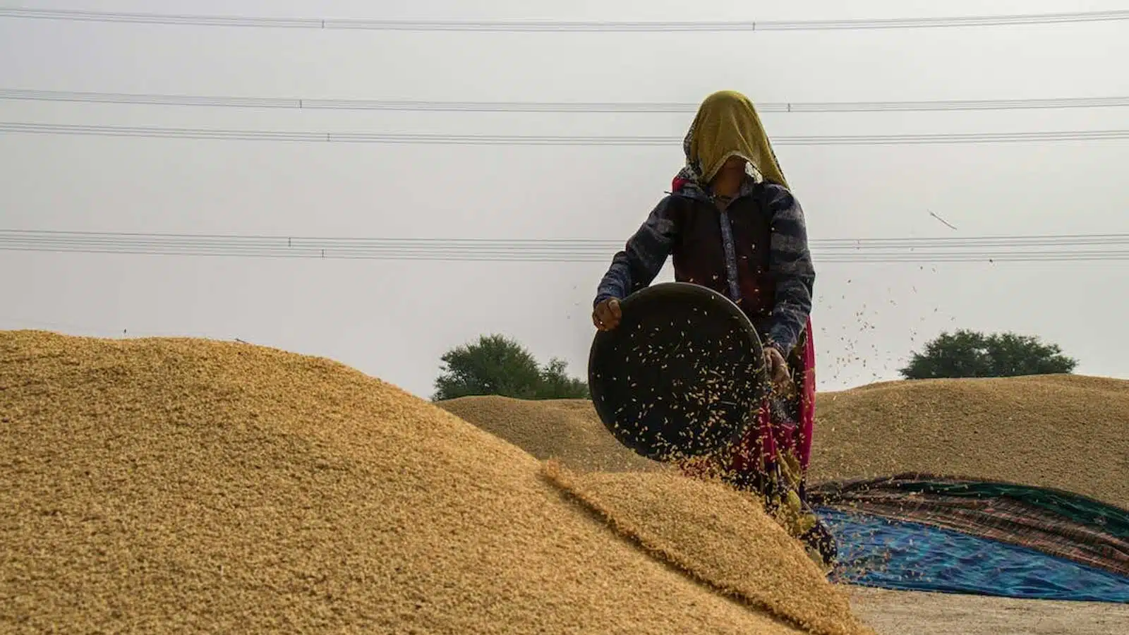 Agricultores españoles se marchan a Marruecos