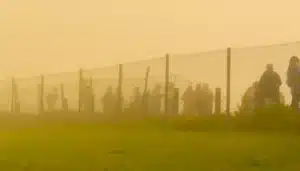 Navarra, explotación laboral y el problema migratorio
