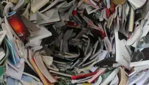 La literatura como negocio o como cultura