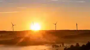 ¿Quiénes son los principales productores de energías renovables?