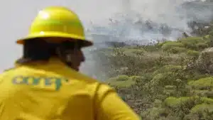 CONAF_combate_incendio_de_Valparaíso_02