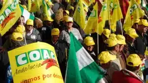 ManifestacionCoag