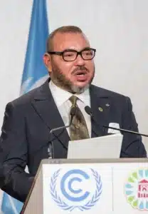 King_Mohammed_VI_(cropped) (1)