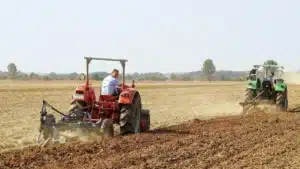 Agenda 2030: Ley de Restauración de la Naturaleza