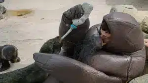 Eduardo Navarro, el hombre que se convirtió en foca