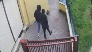 Detenido por nueve robos en colegios de Pamplona
