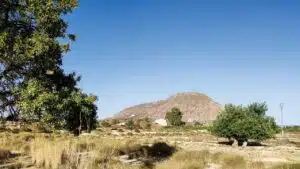 Encuentran la cabeza y extremidades del torso calcinado de Alicante