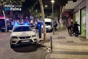 Rumano detenido por agredir y coaccionar a su inquilina en Palma