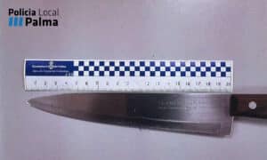 Detenido un colombiano por amenazar con un cuchillo a sus inquilinos