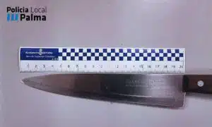 Detenido un colombiano por amenazar con un cuchillo a sus inquilinos