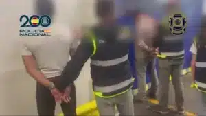 Cae una red que introducía cocaína en piñas a España