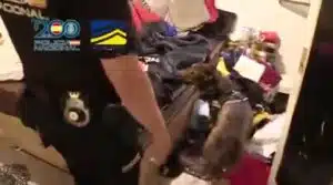 Cae una mafia de tráfico de inmigrantes sirios y argelinos