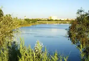 san jeronimo