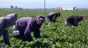 La inmigración en España supone el 84% del crecimiento poblacional