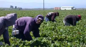 La inmigración en España supone el 84% del crecimiento poblacional