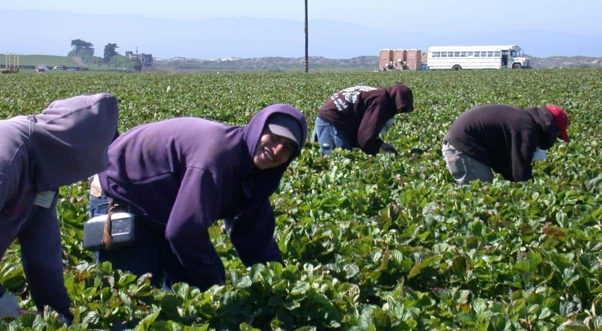 La inmigración en España supone el 84% del crecimiento poblacional