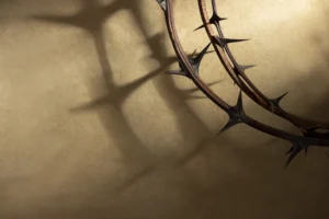 top-view-crown-thorns-with-copy-space
