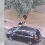 dos-robos-violentos-solo-cuatro-horas-detenido-parla-ladron-que-arrastro-piso-cabeza-mujer-robarle-bolso_103