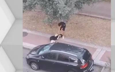 dos-robos-violentos-solo-cuatro-horas-detenido-parla-ladron-que-arrastro-piso-cabeza-mujer-robarle-bolso_103