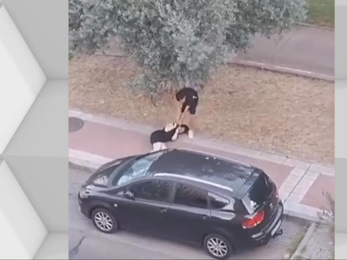 dos-robos-violentos-solo-cuatro-horas-detenido-parla-ladron-que-arrastro-piso-cabeza-mujer-robarle-bolso_103