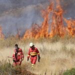Bomberos de saldo para un país en llamas