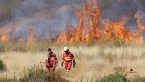 Bomberos de saldo para un país en llamas