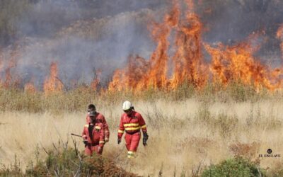 Bomberos de saldo para un país en llamas