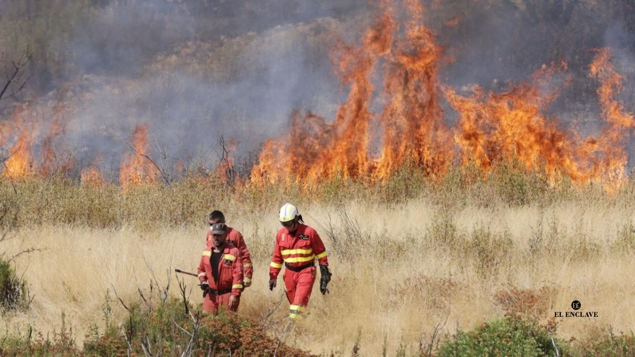 Bomberos de saldo para un país en llamas