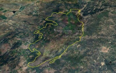 Evacuados tres municipios extremeños por incendios que arrasan más de 800 hectáreas