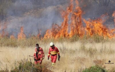 Incendios sin control