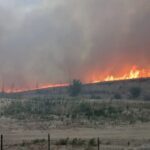 Muere un hombre al intentar salvar caballos de un incendio que ha arrasado más de 1.000 hectáreas y provocado la muerte de decenas de animales.