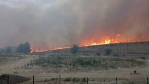 Muere un hombre al intentar salvar caballos de un incendio que ha arrasado más de 1.000 hectáreas y provocado la muerte de decenas de animales.