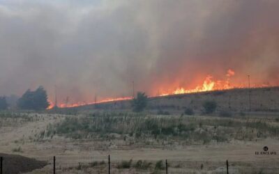 Muere un hombre al intentar salvar caballos de un incendio que ha arrasado más de 1.000 hectáreas y provocado la muerte de decenas de animales.