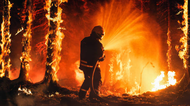 La polémica sobre la prohibición de la quema de rastrojos y el posible impacto en los incendios