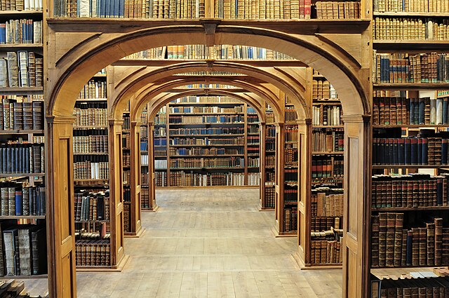 En defensa de los libros