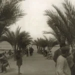 Algerie_philippeville_parc