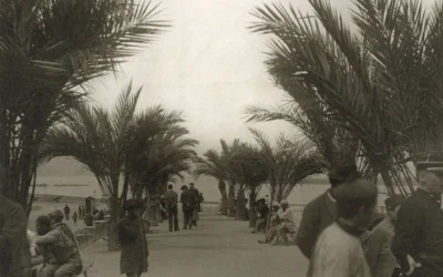 Algerie_philippeville_parc