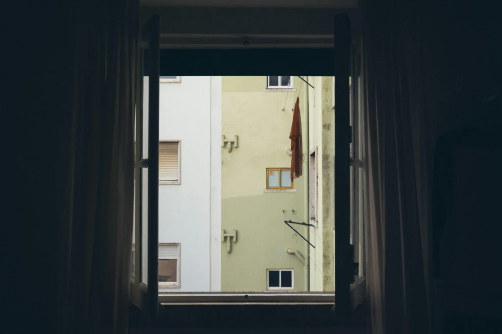 pexels-taraschuiko-19295027
