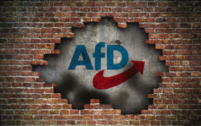 Imagen Elecciones AfD Muro Brandmauer